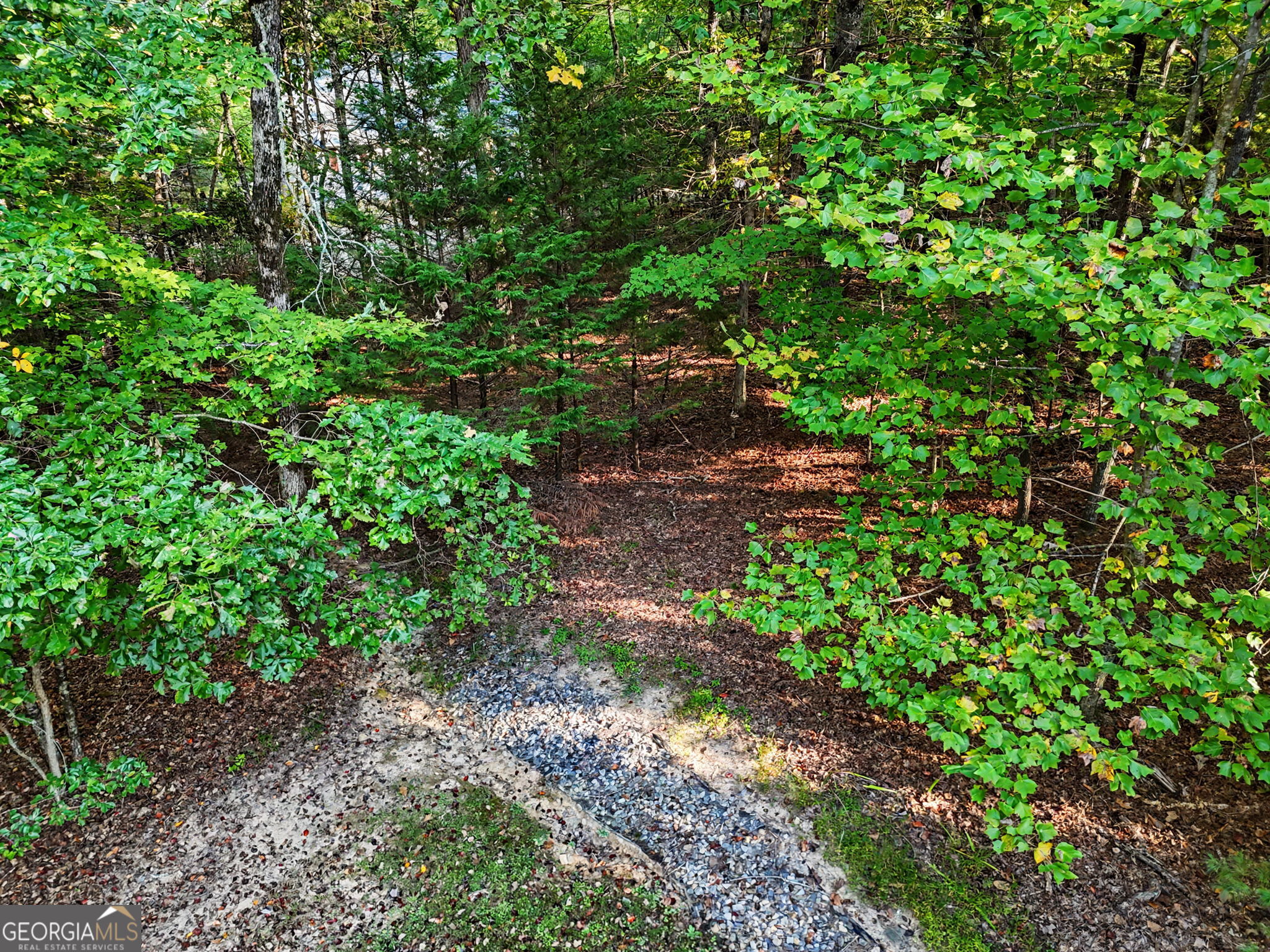 540 Emerine Road Blairsville, GA 30512 - Photo 64 of 70 Gallery Image 64