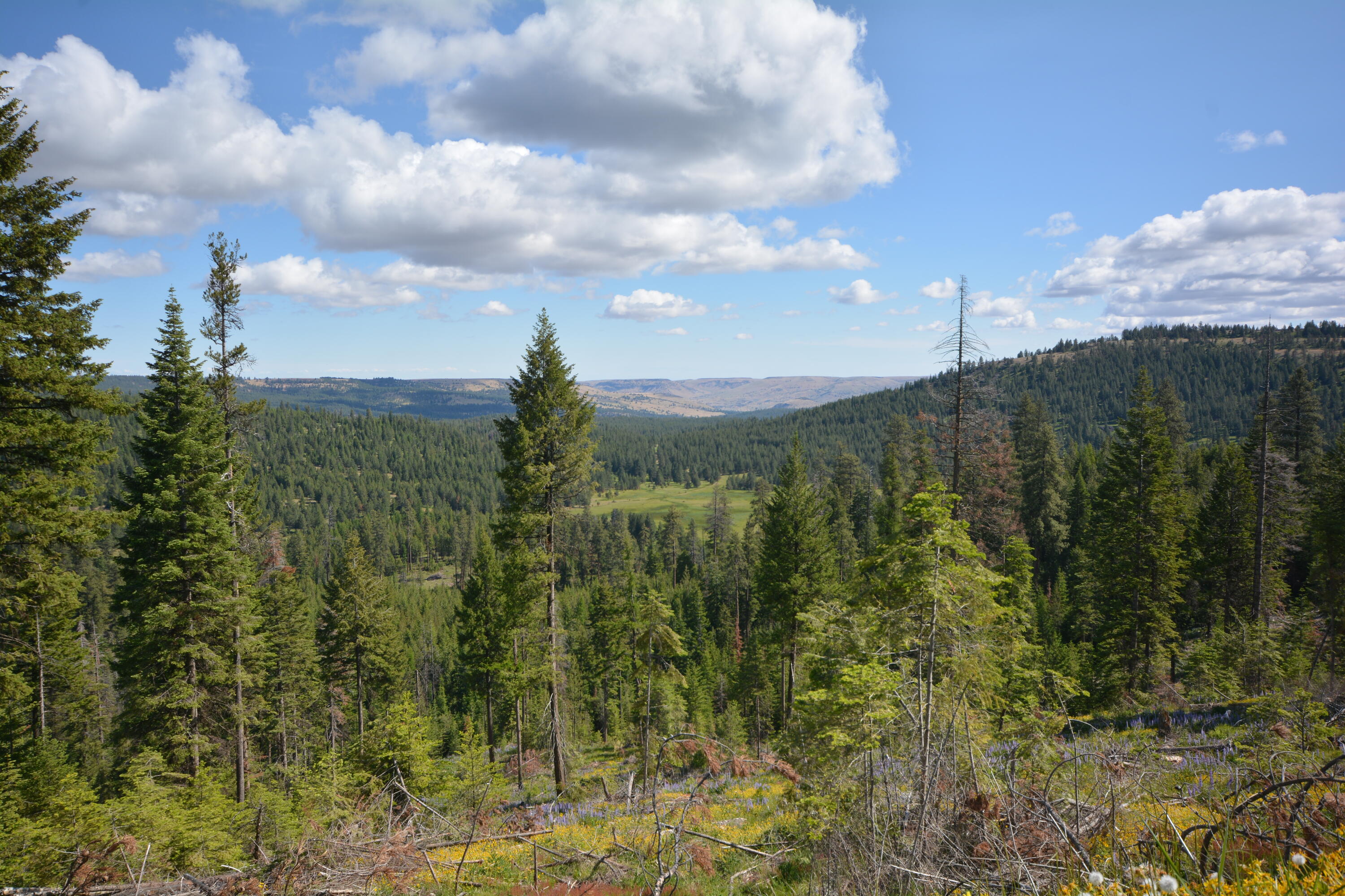 N/a Lonerock Road Fossil, OR 97830 - Photo 67 of 69 ranch views oregon wineland lake hunting