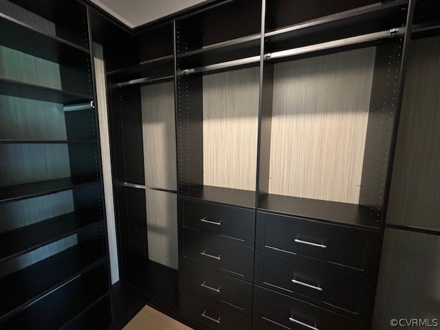 6030 Studley Road Mechanicsville, VA 23116 - Photo 13 of 14 a view of walk in closet