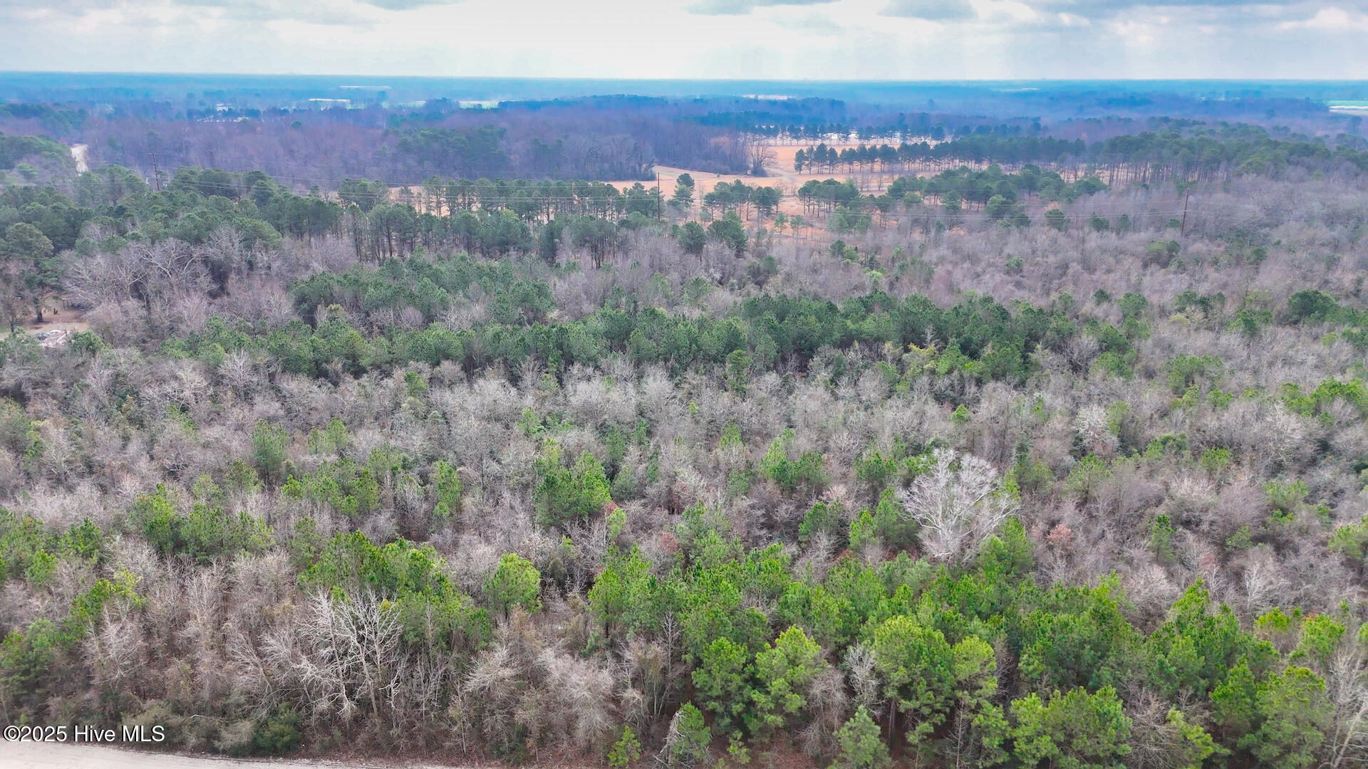 0 East Darden Road Faison, NC 28341 - Photo 9 of 25 31265_Image_9