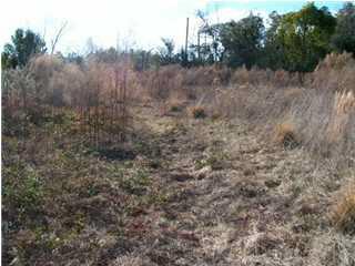 900 North Crow Road Pensacola, FL 32506 - Photo 1 of 1 Great Developer Property!