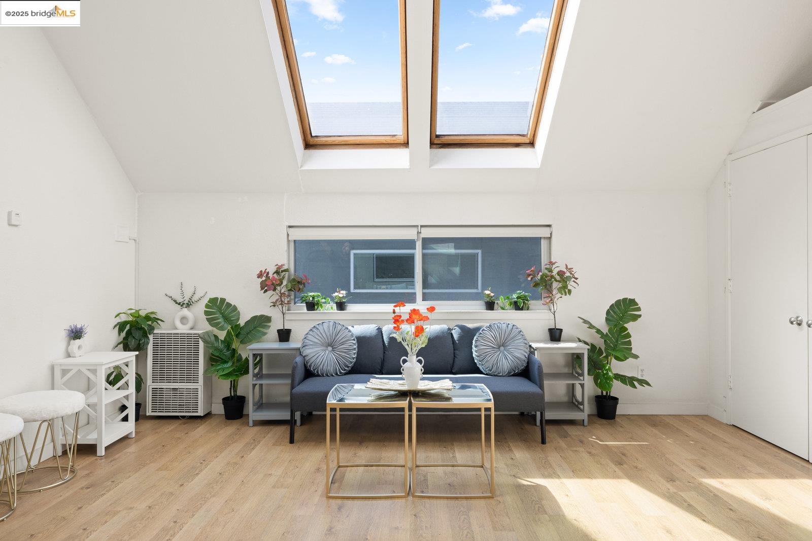 a living room with furniture and a potted plant