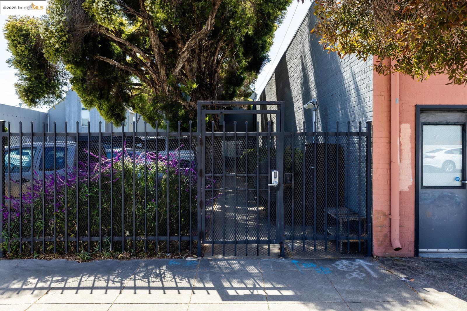 1450 Fourth Street, Unit 5 Berkeley, CA 94710 - Photo 11 of 18 a view of garden with potted plants