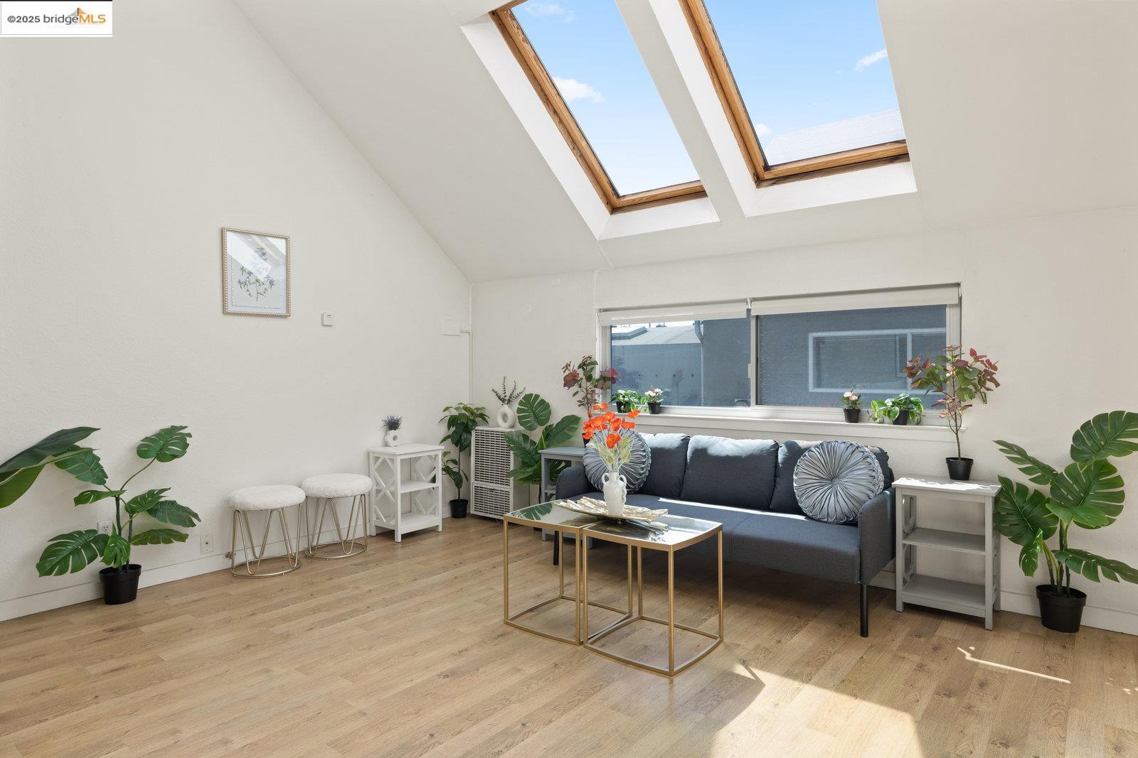 1450 Fourth Street, Unit 5 Berkeley, CA 94710 - Photo 2 of 18 a living room with furniture and a potted plant