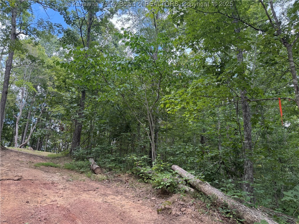 0 Harmon Run Road Le Roy, WV 25252 - Photo 2 of 10 Gallery Image 2