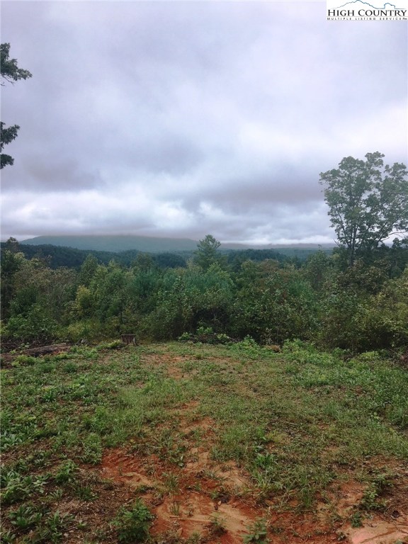 1453 Starview Ridge Lenoir, NC 28645 - Photo 6 of 24 Gallery Image 6