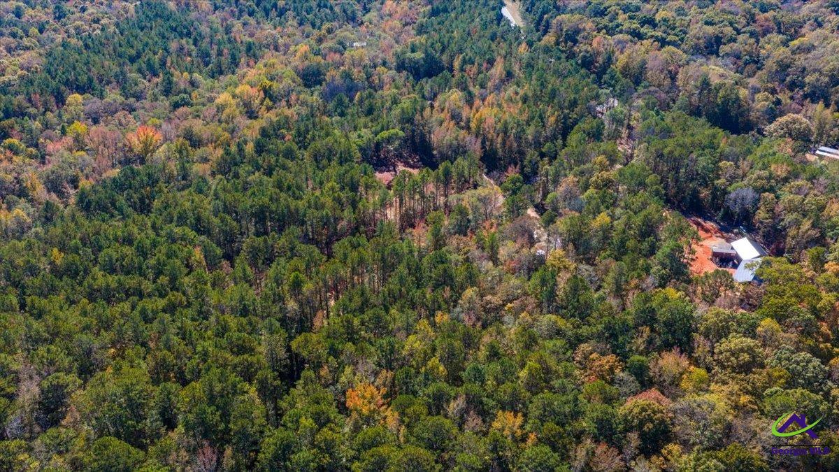 3271 Highway 42 Forsyth, GA 31029 - Photo 21 of 29