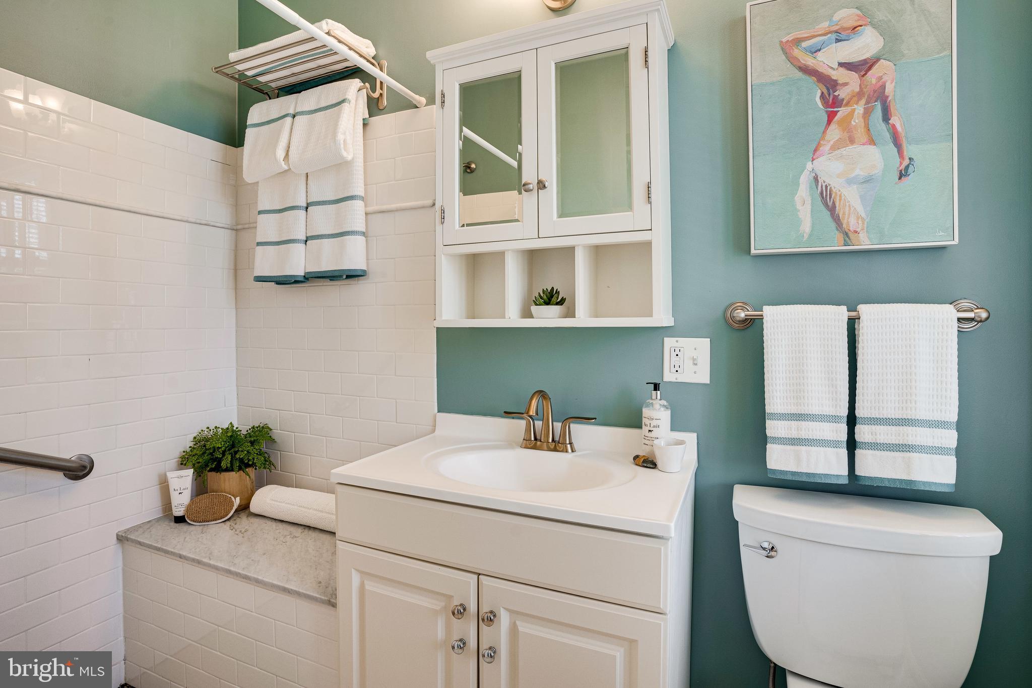 333 5th Street Southeast Washington, DC 20003 - Photo 24 of 58 Primary ensuite BA1 w/walk-in shower + tiled bench