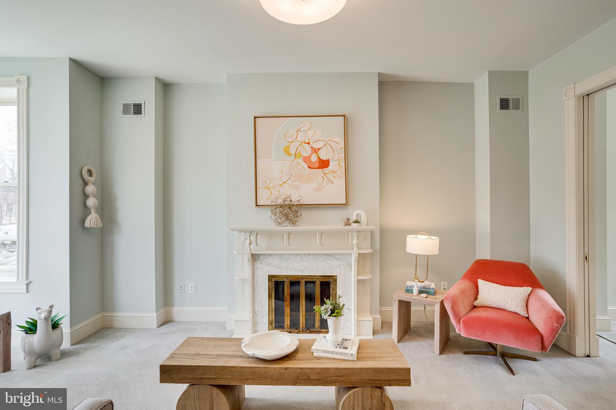 333 5th Street Southeast Washington, DC 20003 - Photo 8 of 58 Large LR w/FP and original mantel, 1 of 2