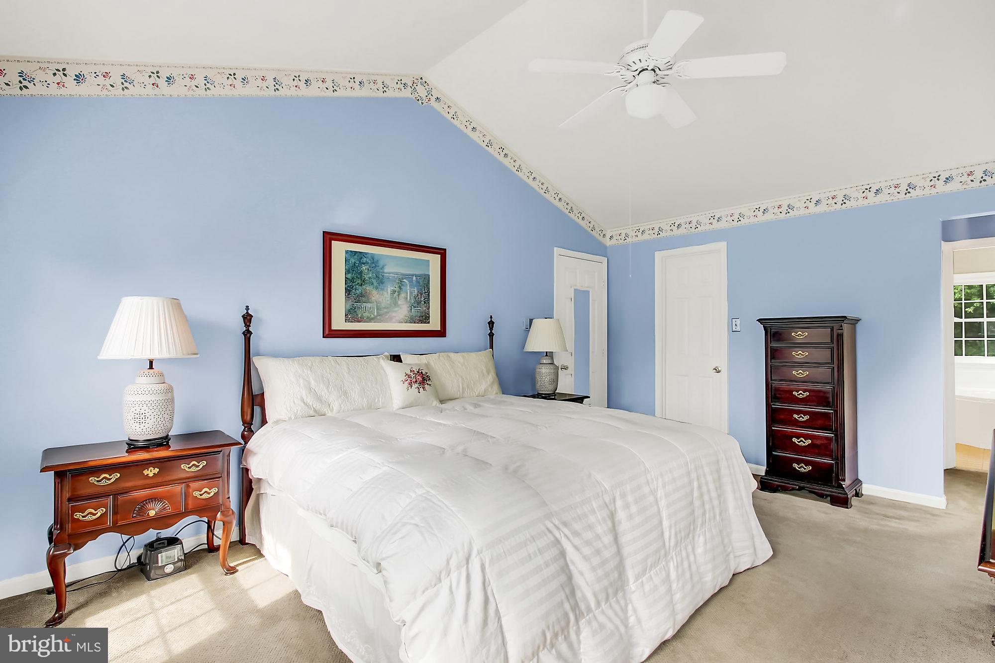 6 Farm Ridge Court Baldwin, MD 21013 - Photo 23 of 39 Vaulted ceiling...two closet areas....