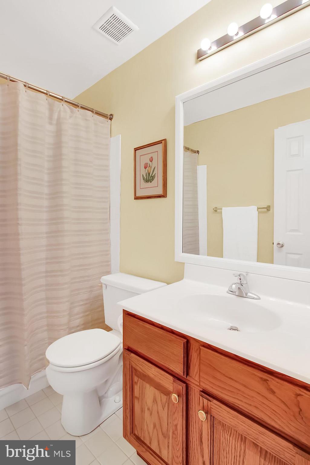 6 Farm Ridge Court Baldwin, MD 21013 - Photo 28 of 39 Hall bathroom