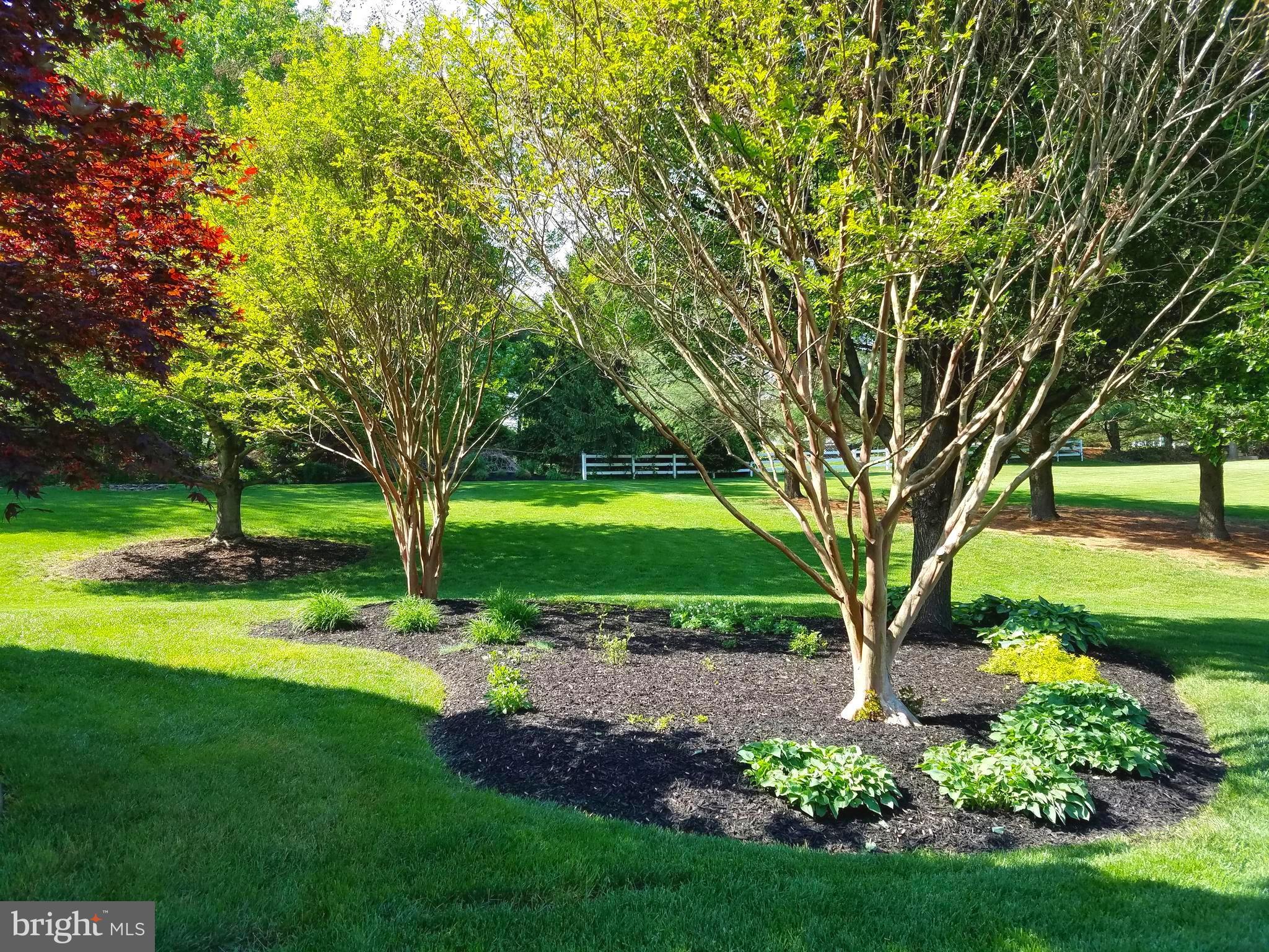 6 Farm Ridge Court Baldwin, MD 21013 - Photo 37 of 39 Lovely landscaping