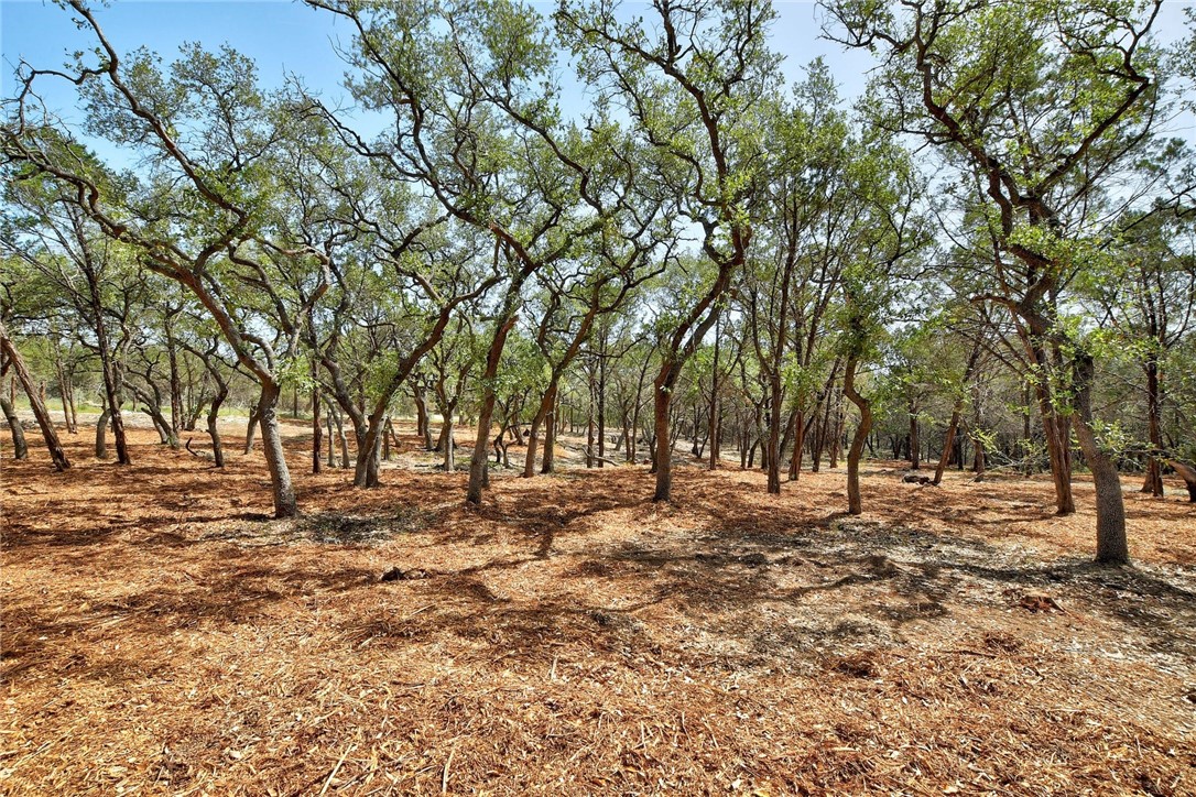 113 South Rainbow Ranch Road Wimberley, TX 78676 - Photo 1 of 1 Gallery Image 1