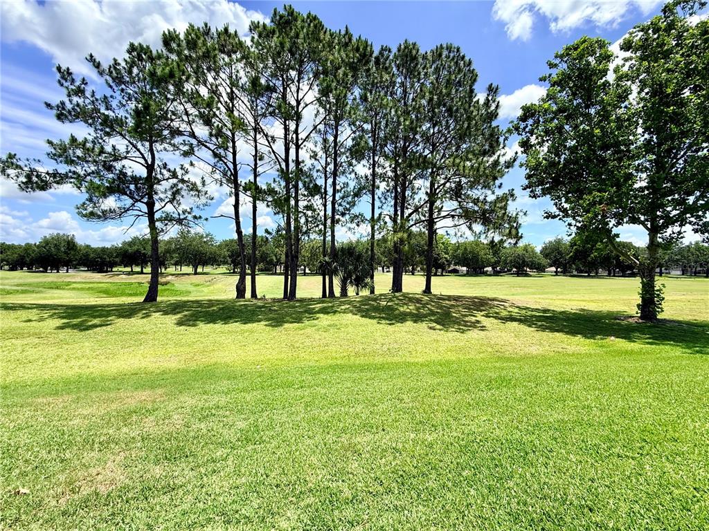 15597 Southwest 14th Avenue Road Ocala, FL 34473 - Photo 63 of 77