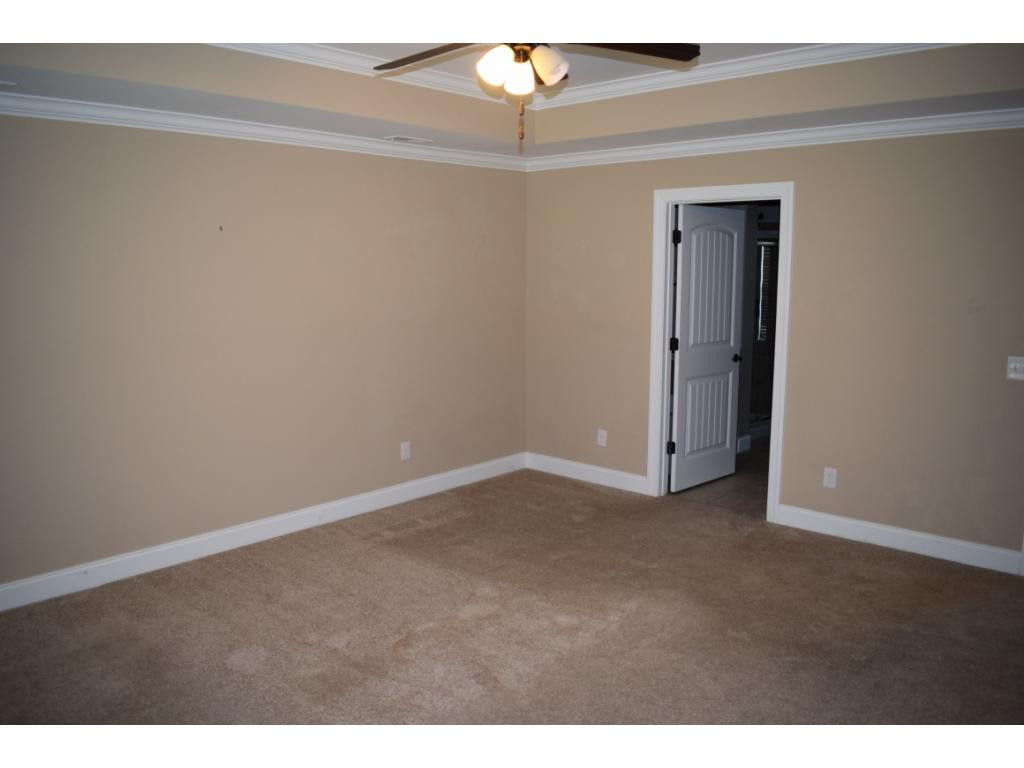 2432 Edinburgh Channel Road Kingsport, TN 37664 - Photo 14 of 34 Master wTrey Ceiling
