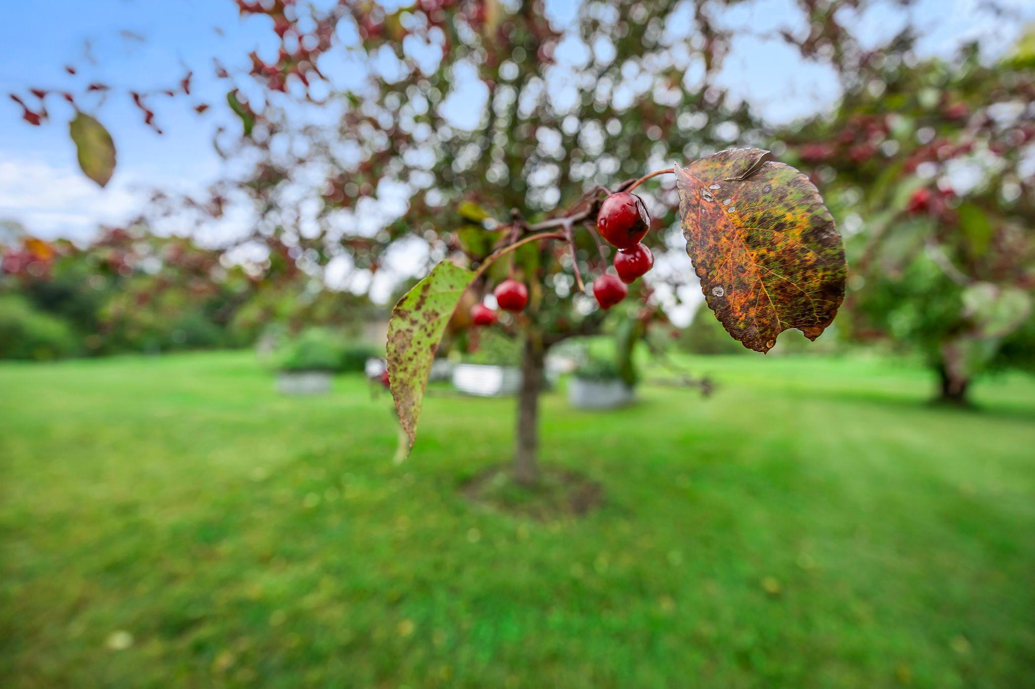2419 230th Avenue St. Croix Falls, WI 54024 - Photo 92 of 114