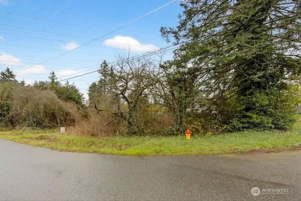 a view of a house with a yard and tree s