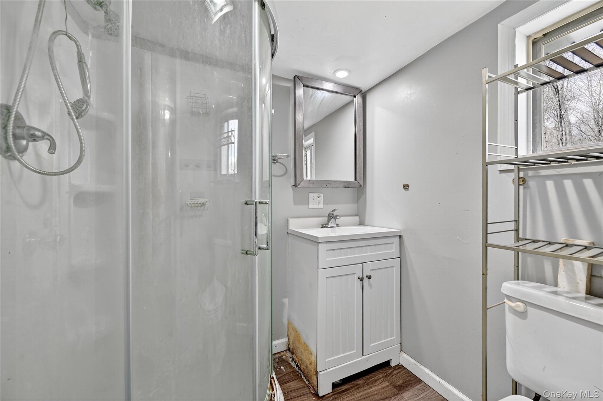 1187 Burlingham Road Pine Bush, NY 12566 - Photo 24 of 26 a bathroom with a shower sink and mirror
