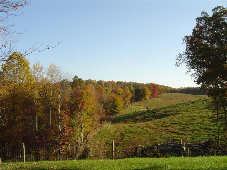 3724 Marydell Road London, KY 40741 - Photo 29 of 37 Photo 29