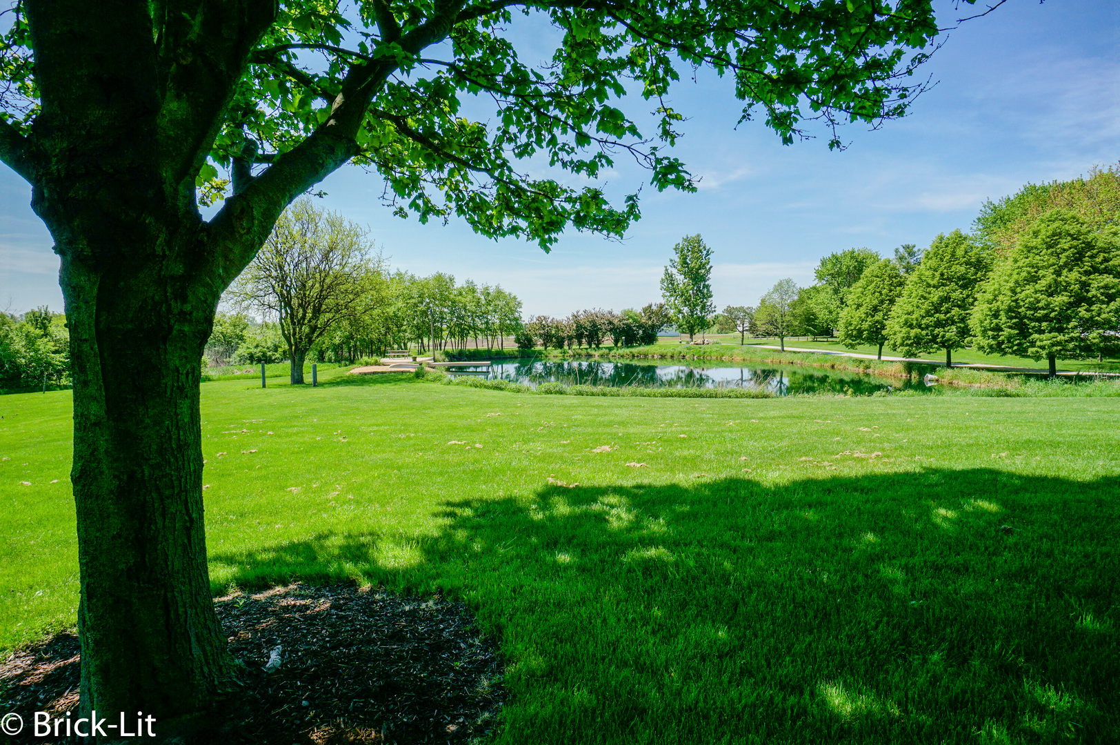 12320 West Offner Road Manhattan, IL 60442 - Photo 8 of 48