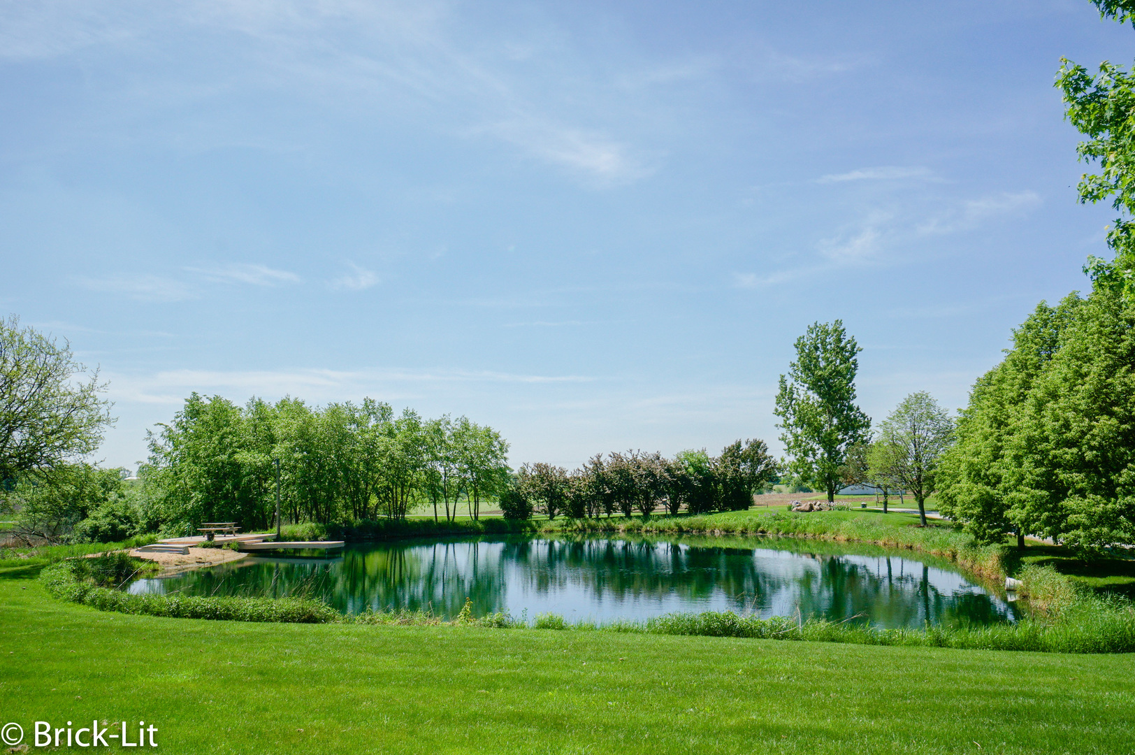 12320 West Offner Road Manhattan, IL 60442 - Photo 9 of 48