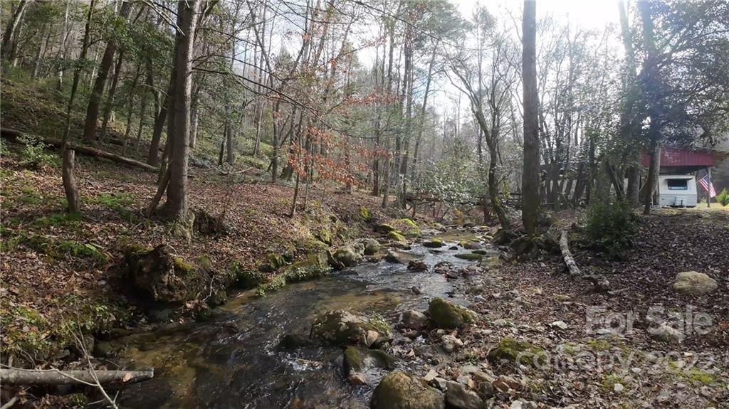 Vl Vl Shell Creek Road Ferguson, NC 28624 - Photo 18 of 19 a view of a forest with trees