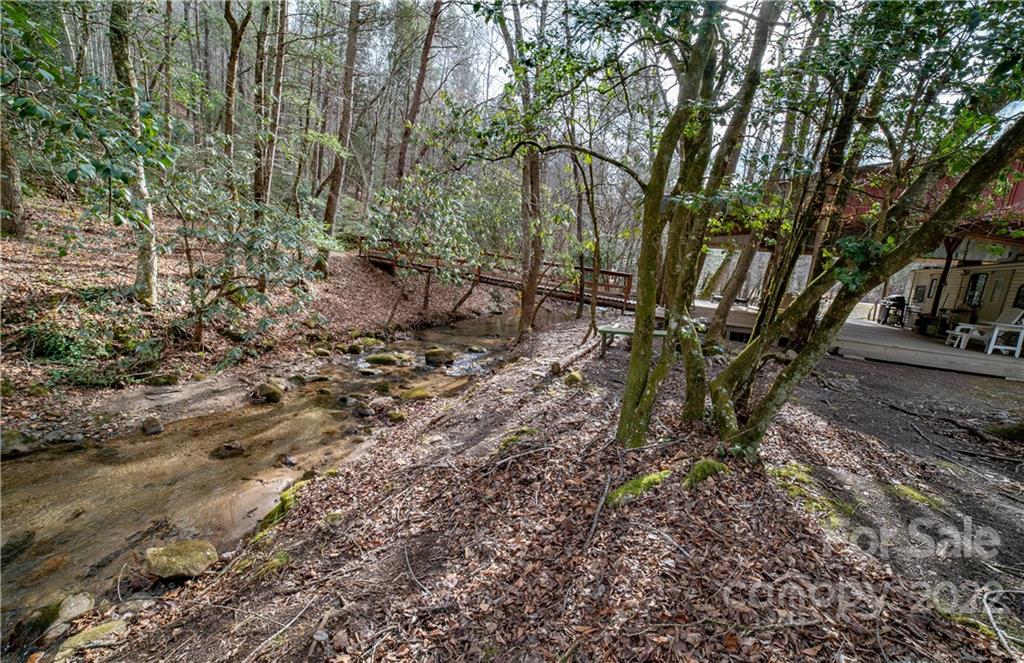 Vl Vl Shell Creek Road Ferguson, NC 28624 - Photo 4 of 19 a view of backyard with green space