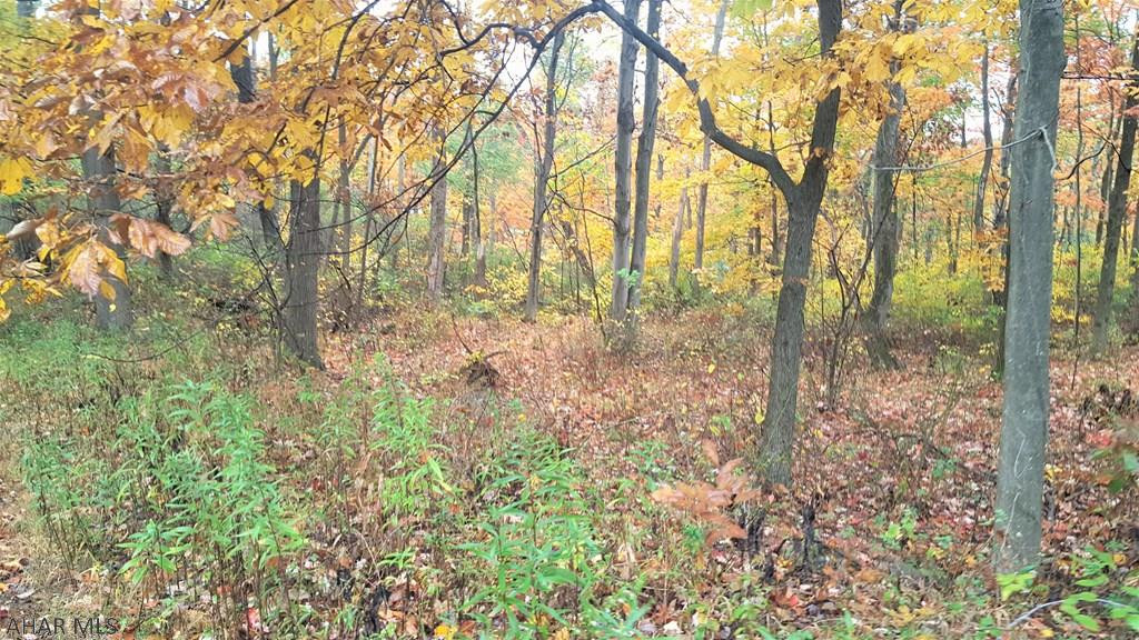 - West Carson Valley Road Duncansville, PA 16635 - Photo 5 of 8 Gallery Image 5