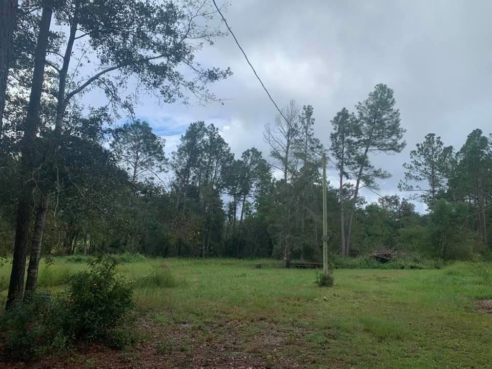 26348 Feely Road Elberta, AL 36530 - Photo 9 of 43