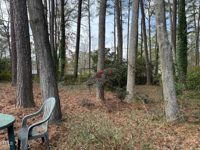 6705 Jean Drive Raleigh, NC 27612 - Photo 21 of 22 IMG_7223