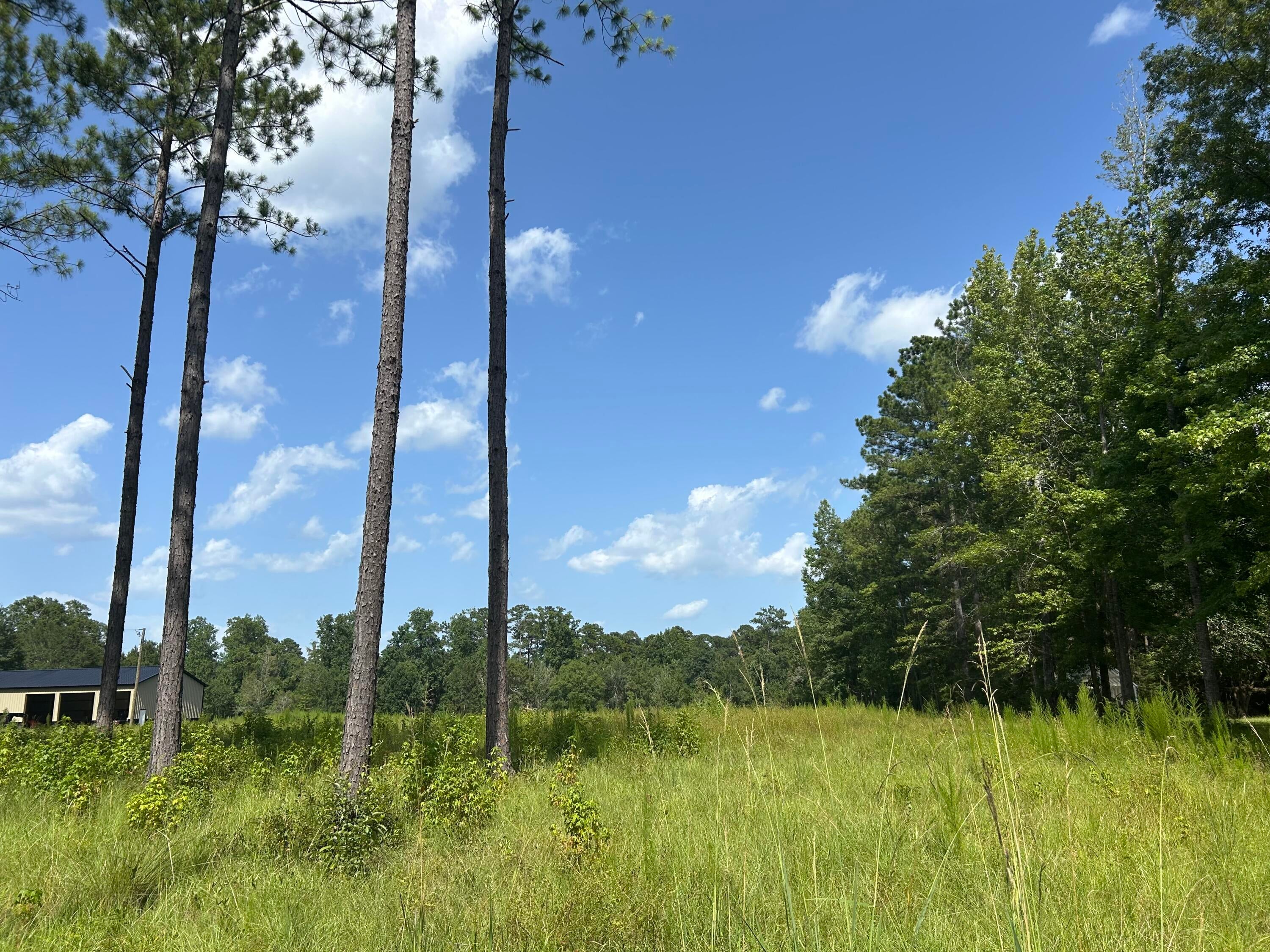 88 Pine Ridge Road Columbia, MS 39429 - Photo 4 of 12 Gallery Image 4