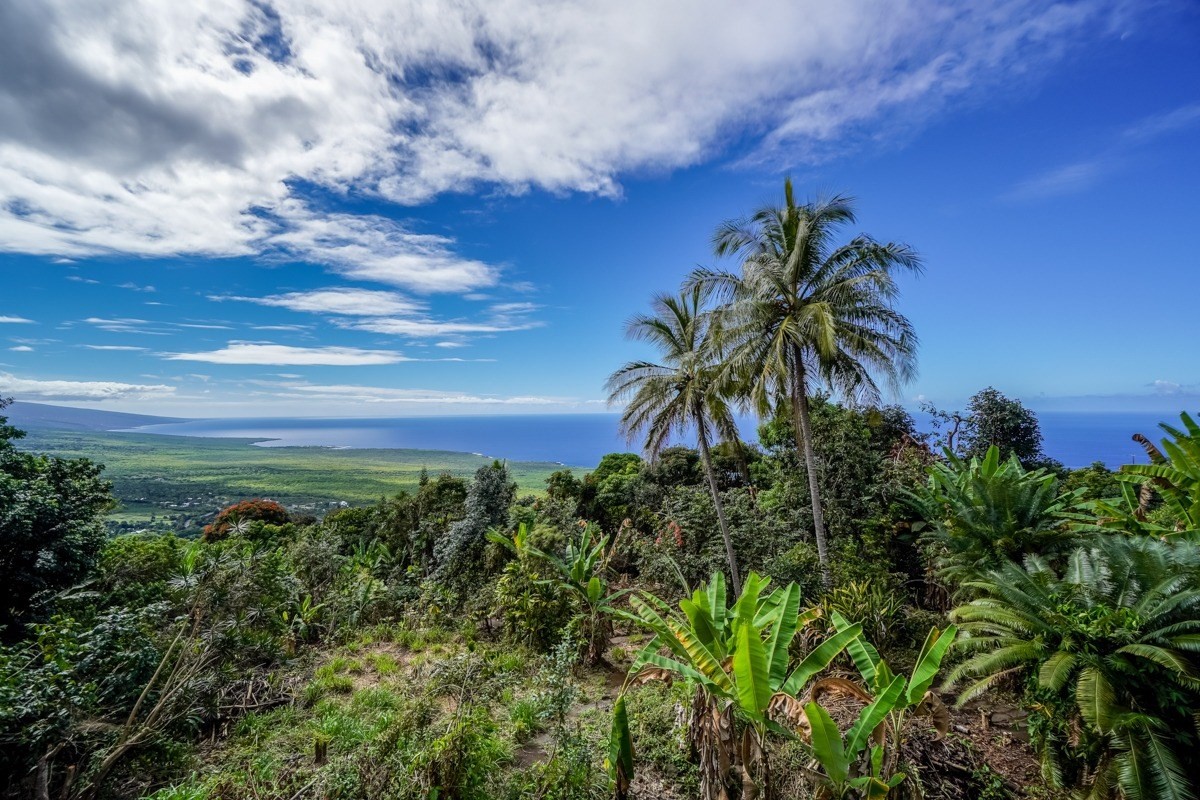 82-5941 Old Government Road Captain Cook, HI 96704 - Photo 1 of 21 Gallery Image 1
