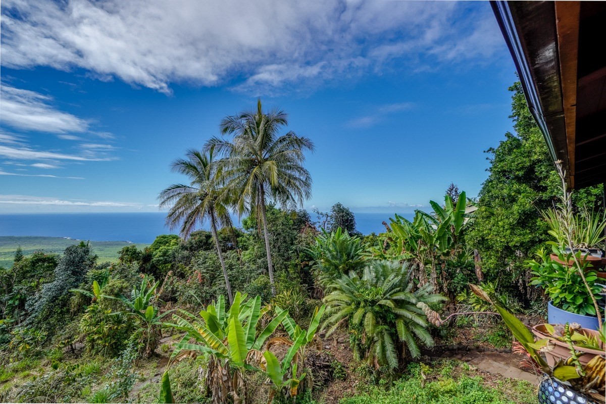82-5941 Old Government Road Captain Cook, HI 96704 - Photo 8 of 21 Gallery Image 8