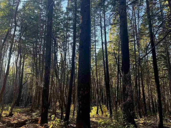 a view of outdoor space with lots of trees