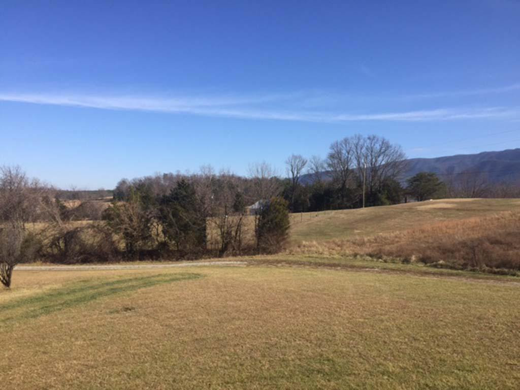 290 Piney Grove Road Greeneville, TN 37743 - Photo 4 of 23 Photo 4