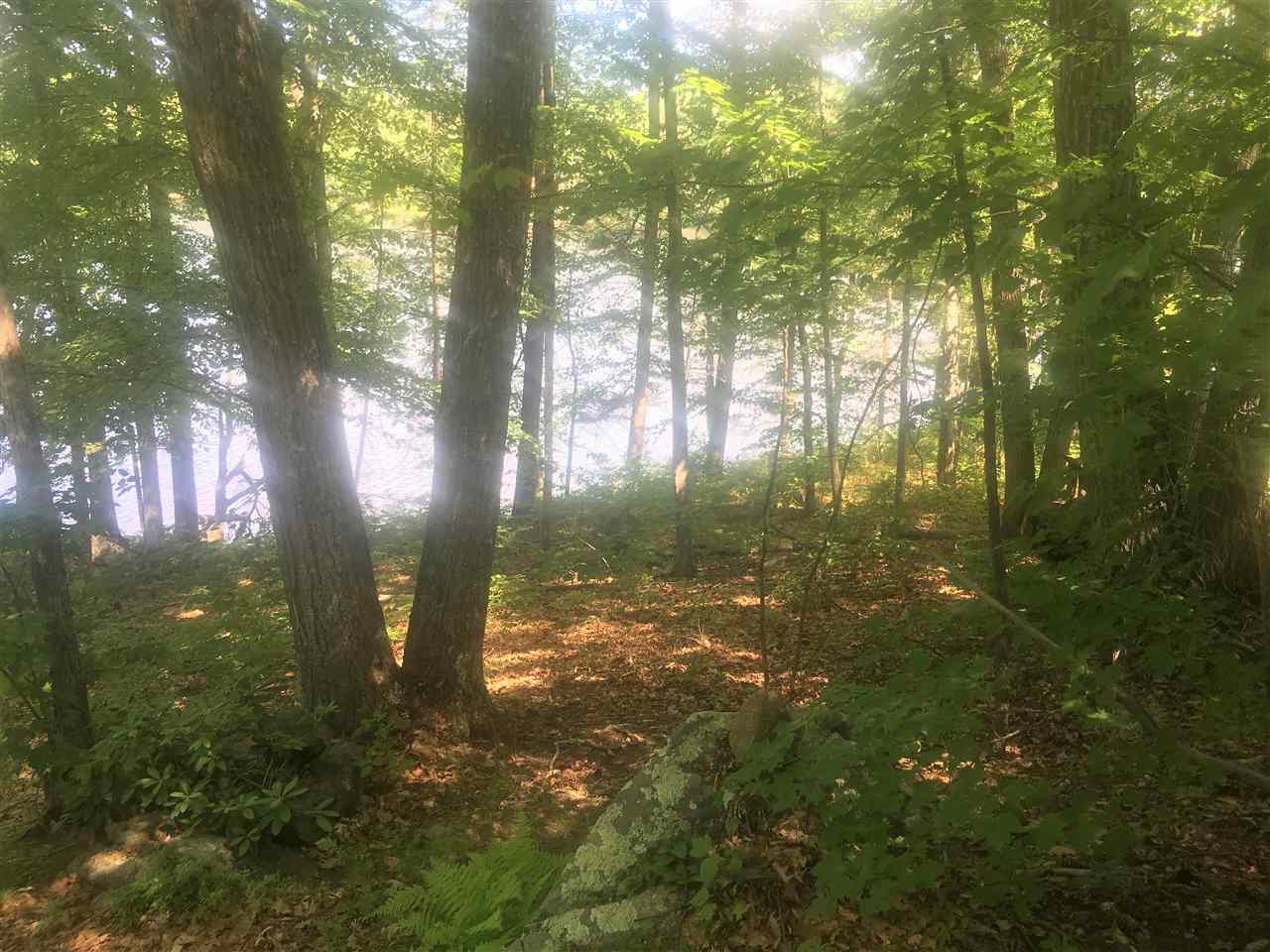 580 Berry River Road, Unit 88 Barrington, NH 03825 - Photo 5 of 8