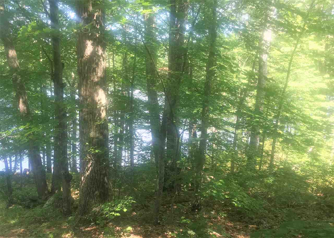580 Berry River Road, Unit 88 Barrington, NH 03825 - Photo 6 of 8