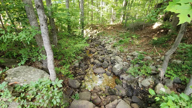 a view of a yard with plants and tree