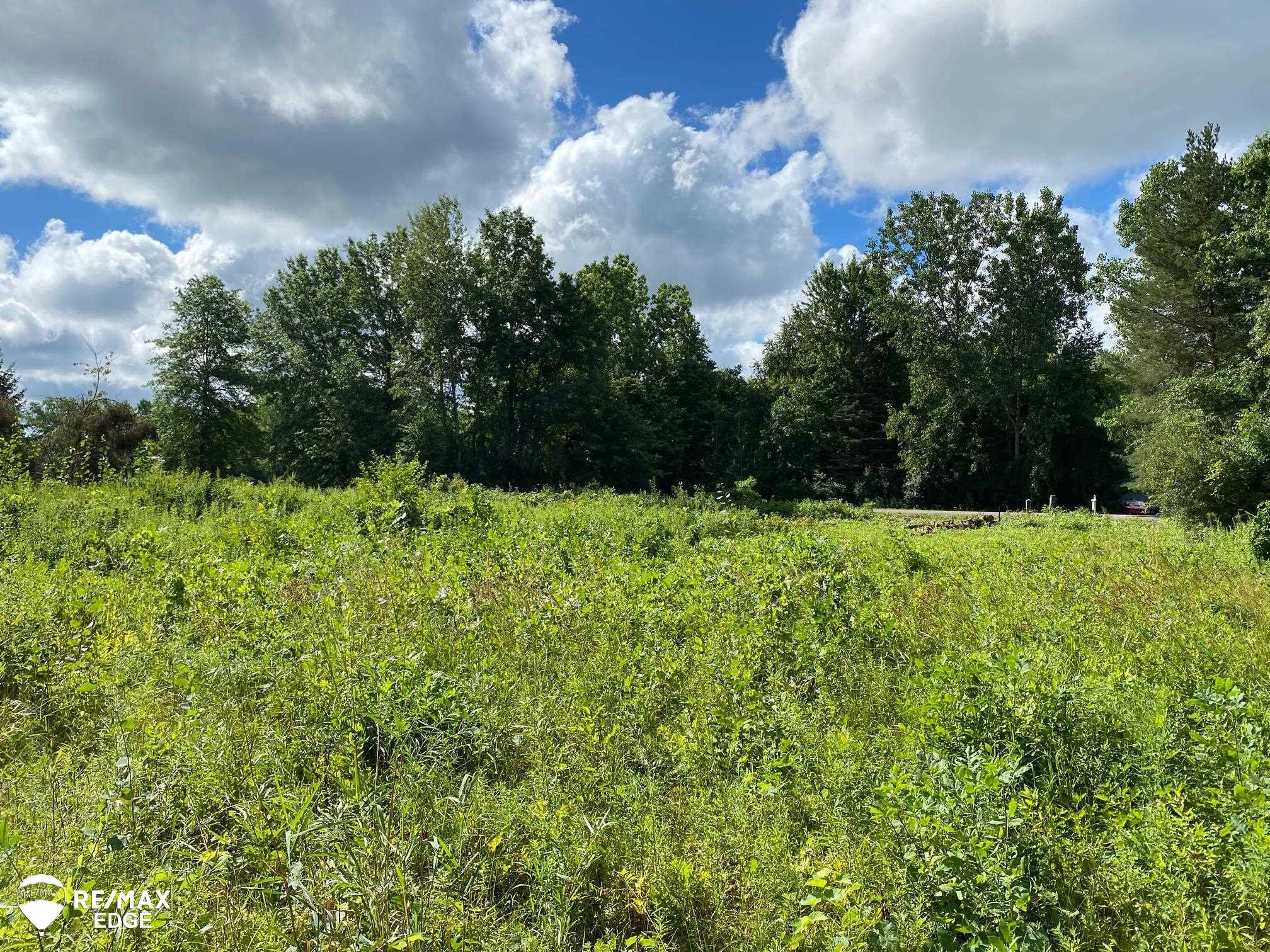0 West Frances Road Mount Morris, MI 48458 - Photo 1 of 7 50065690.JPG