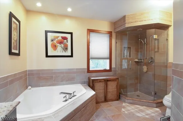 a bathroom with a tub a toilet and a shower