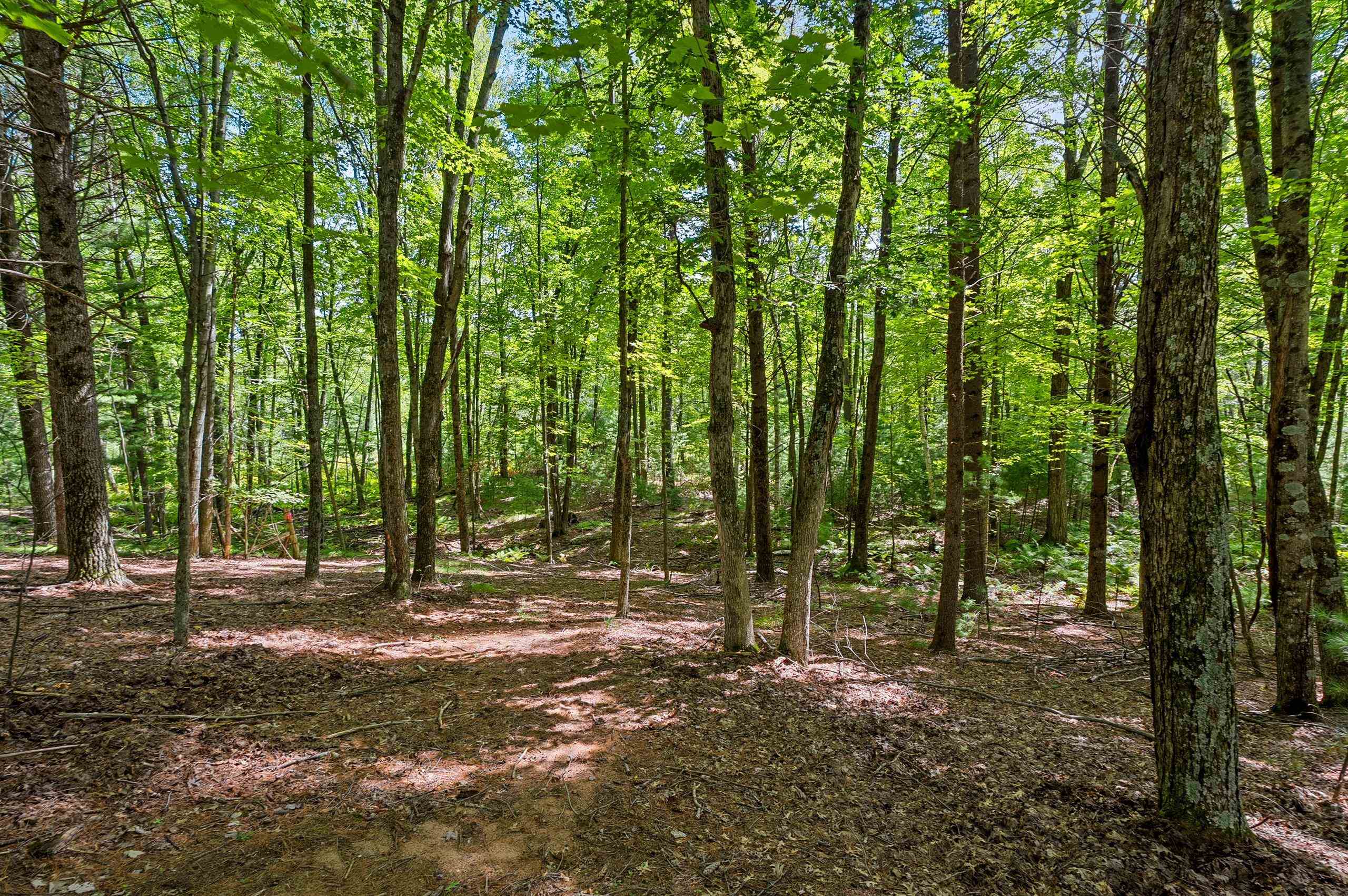 W6867 Curt Black Road Shawano, WI 54166 - Photo 68 of 80 Gallery Image 68