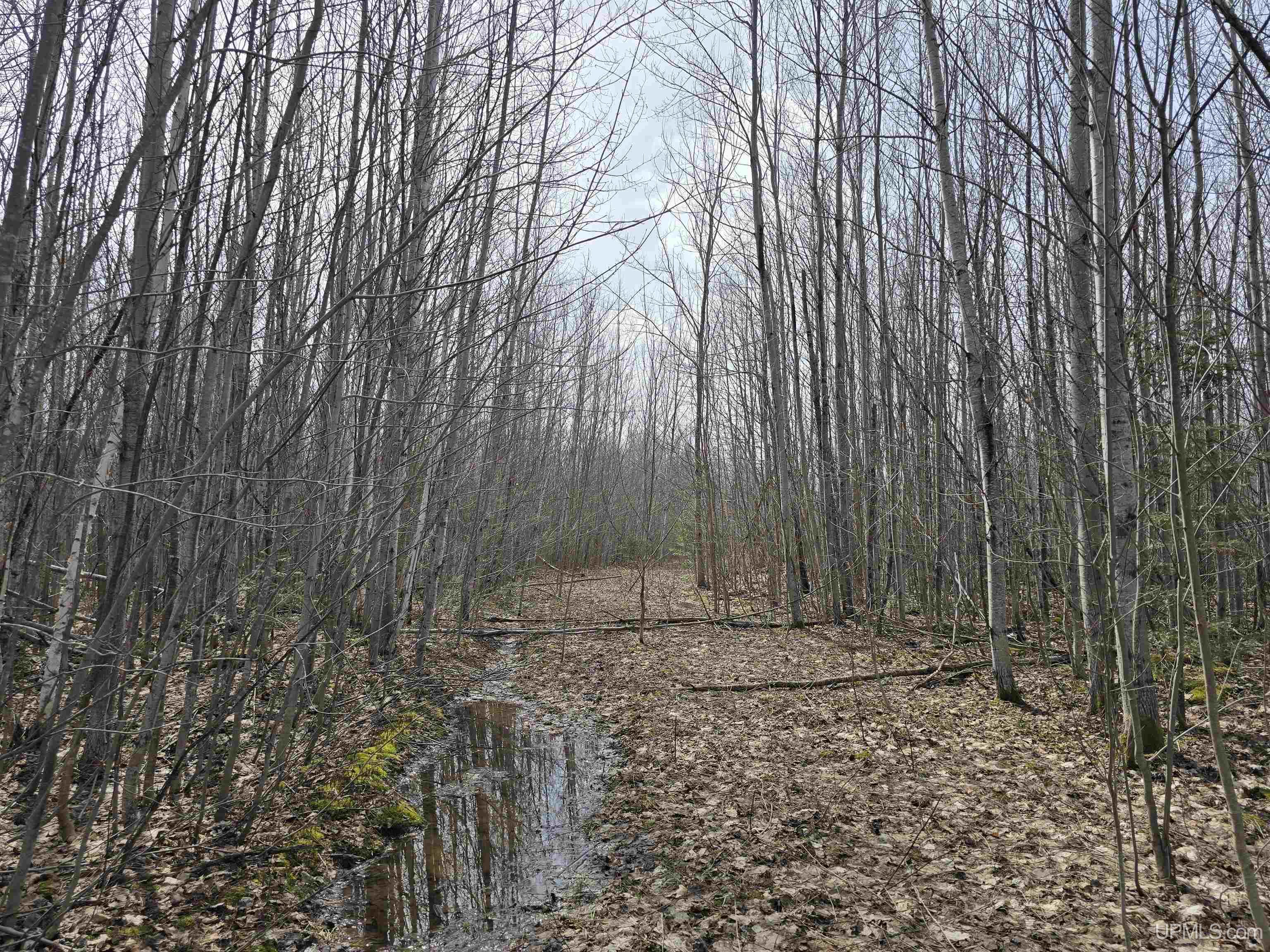 Tbd Woodspur Road Ontonagon, MI 49953 - Photo 4 of 46