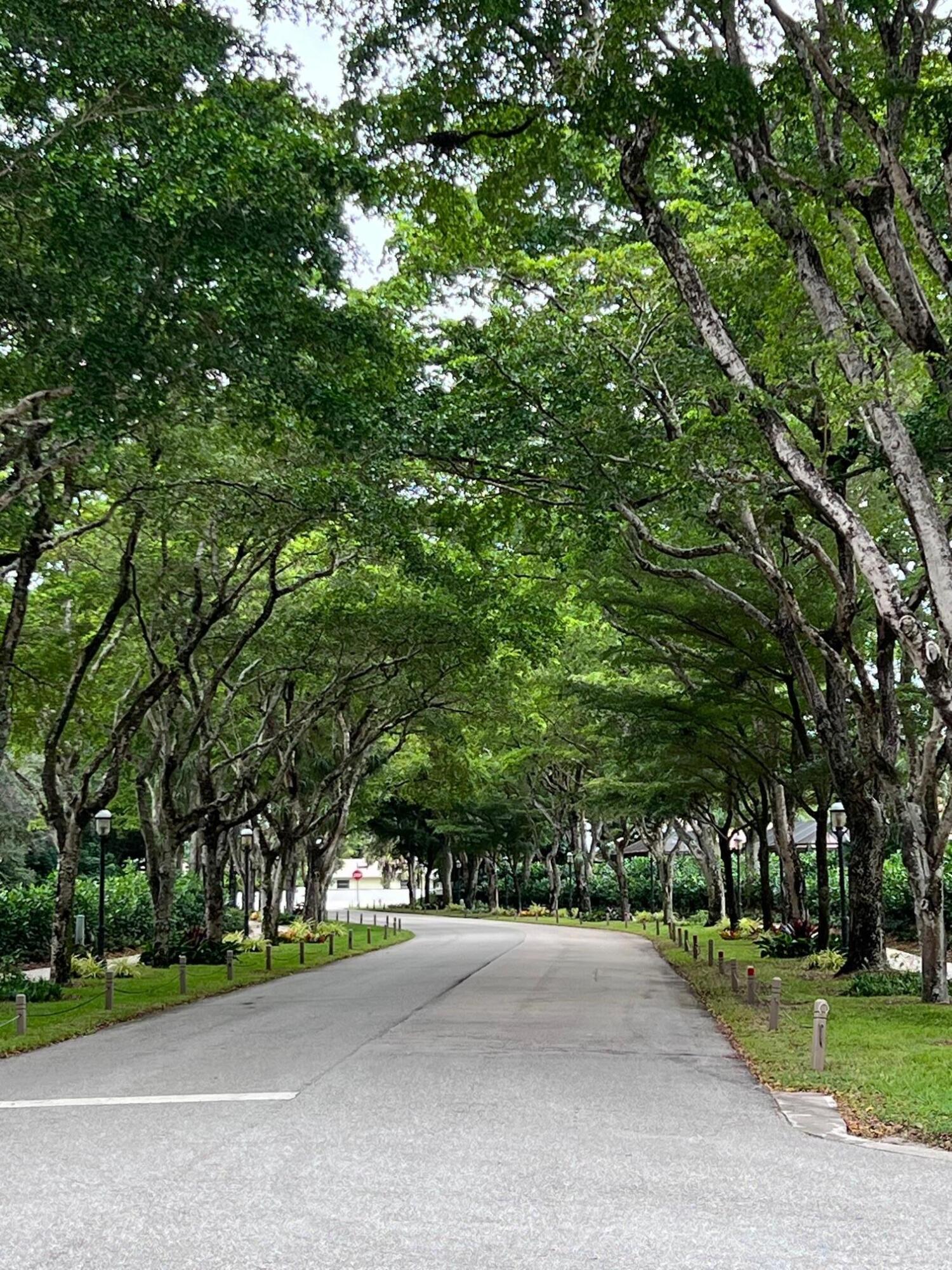 3663 Northwest 24th Way Boca Raton, FL 33431 - Photo 61 of 68 Tree canopy