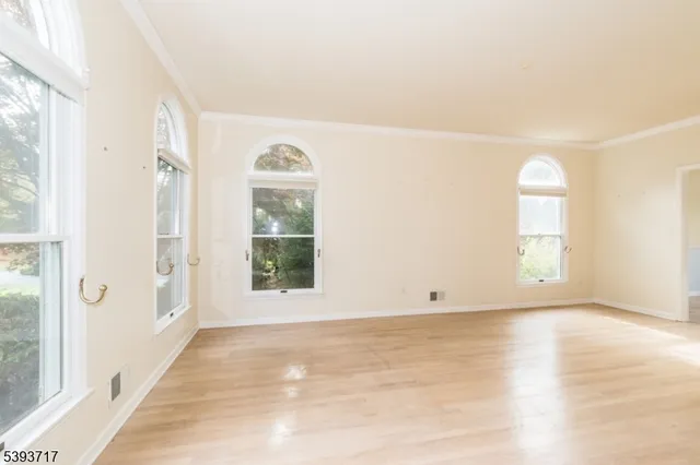 a view of yard with green space