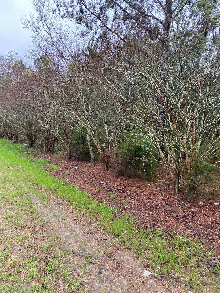 0 West Cook Road Dothan, AL 36301 - Photo 2 of 4