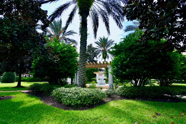 a view of a park with plants and trees