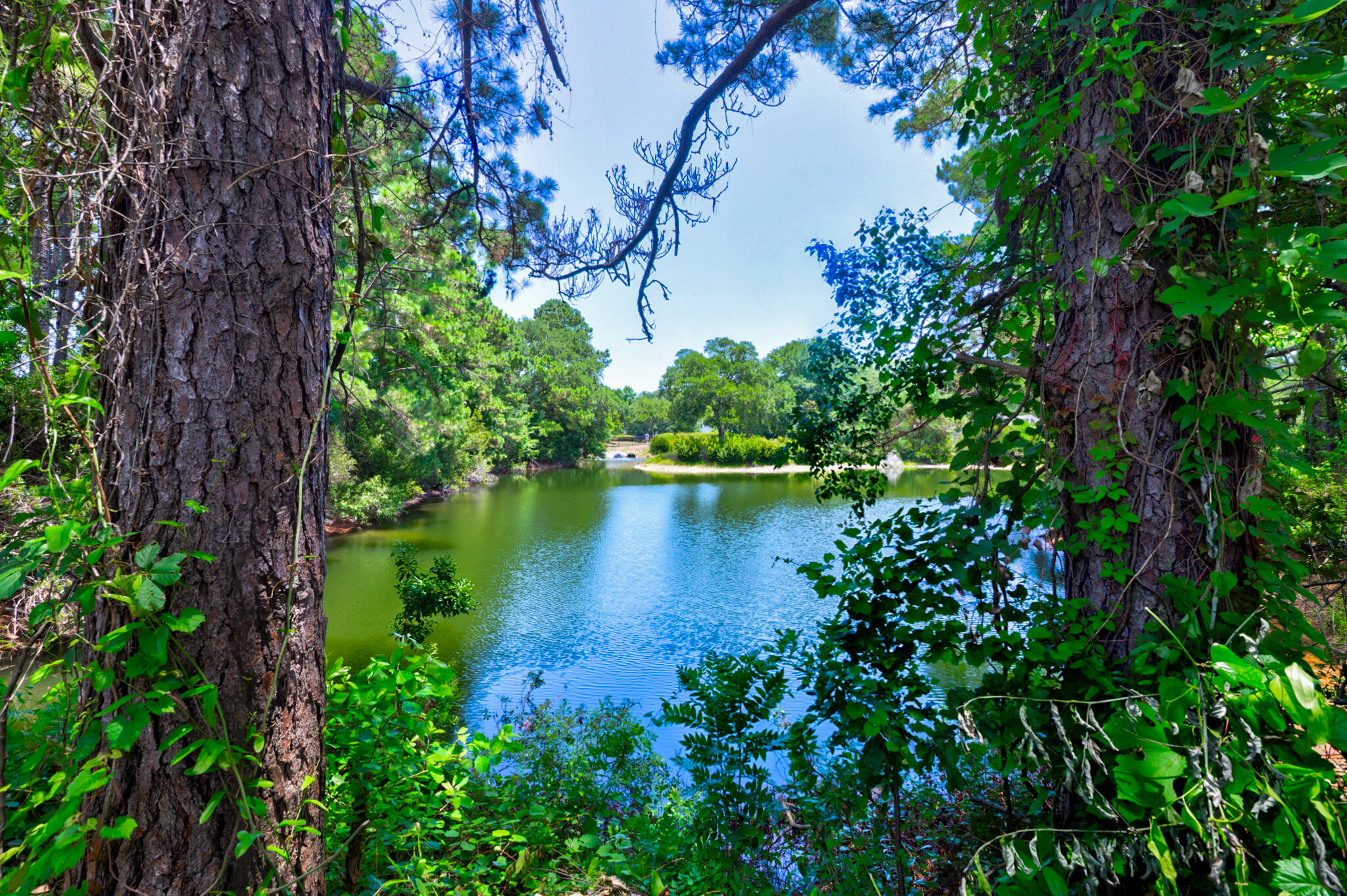 1406 Diamond Boulevard Mount Pleasant, SC 29466 - Photo 11 of 45 1406 Diamond - 38 - CMG