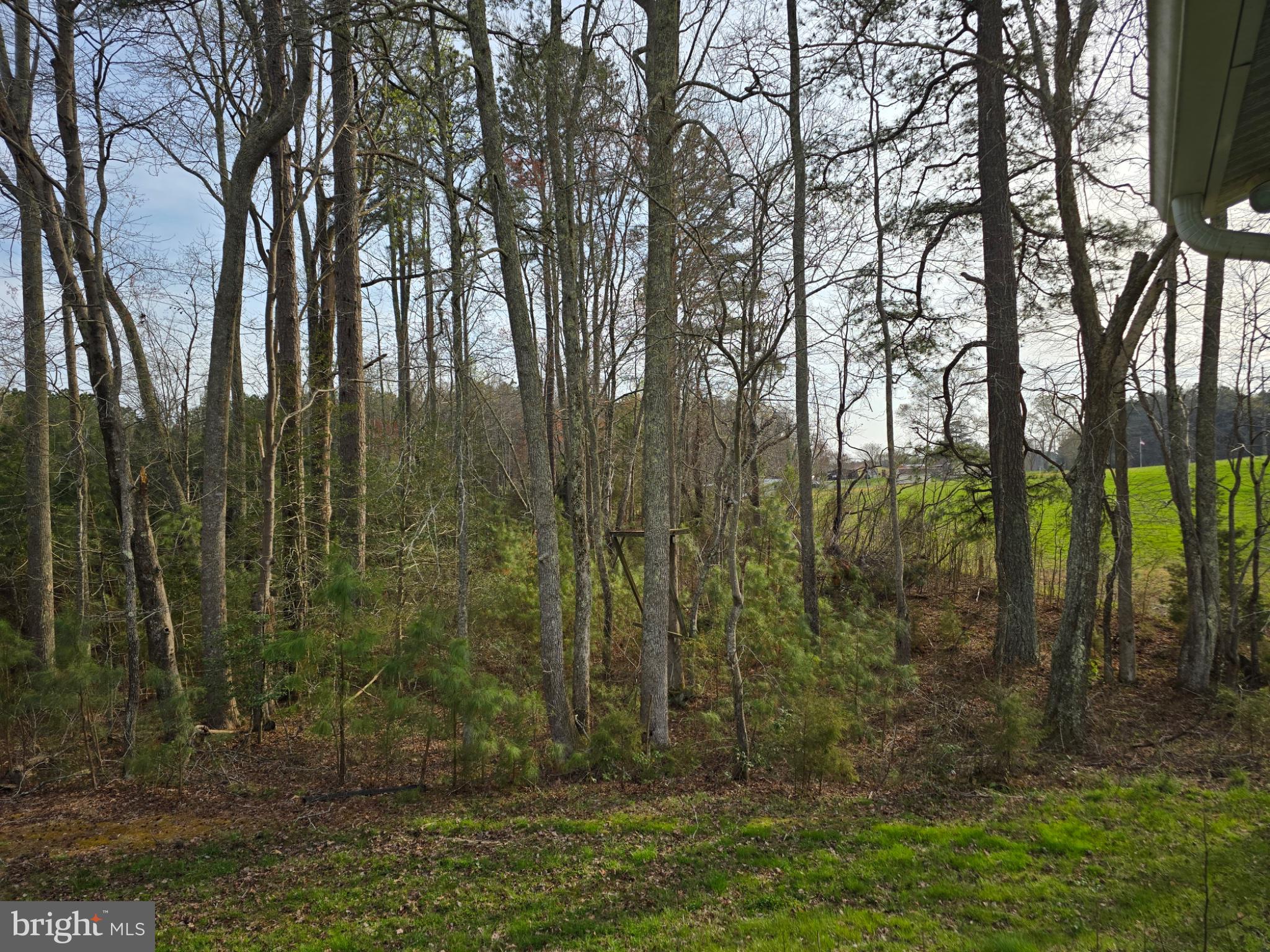 2256 Maon Road Lancaster, VA 22503 - Photo 7 of 7 Serene woodland retreat awaits you.