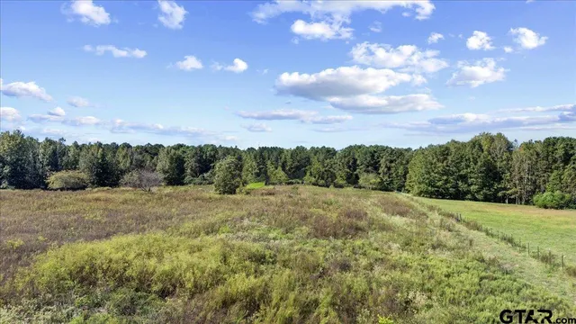a view of an outdoor space with yard and mountain view in back
