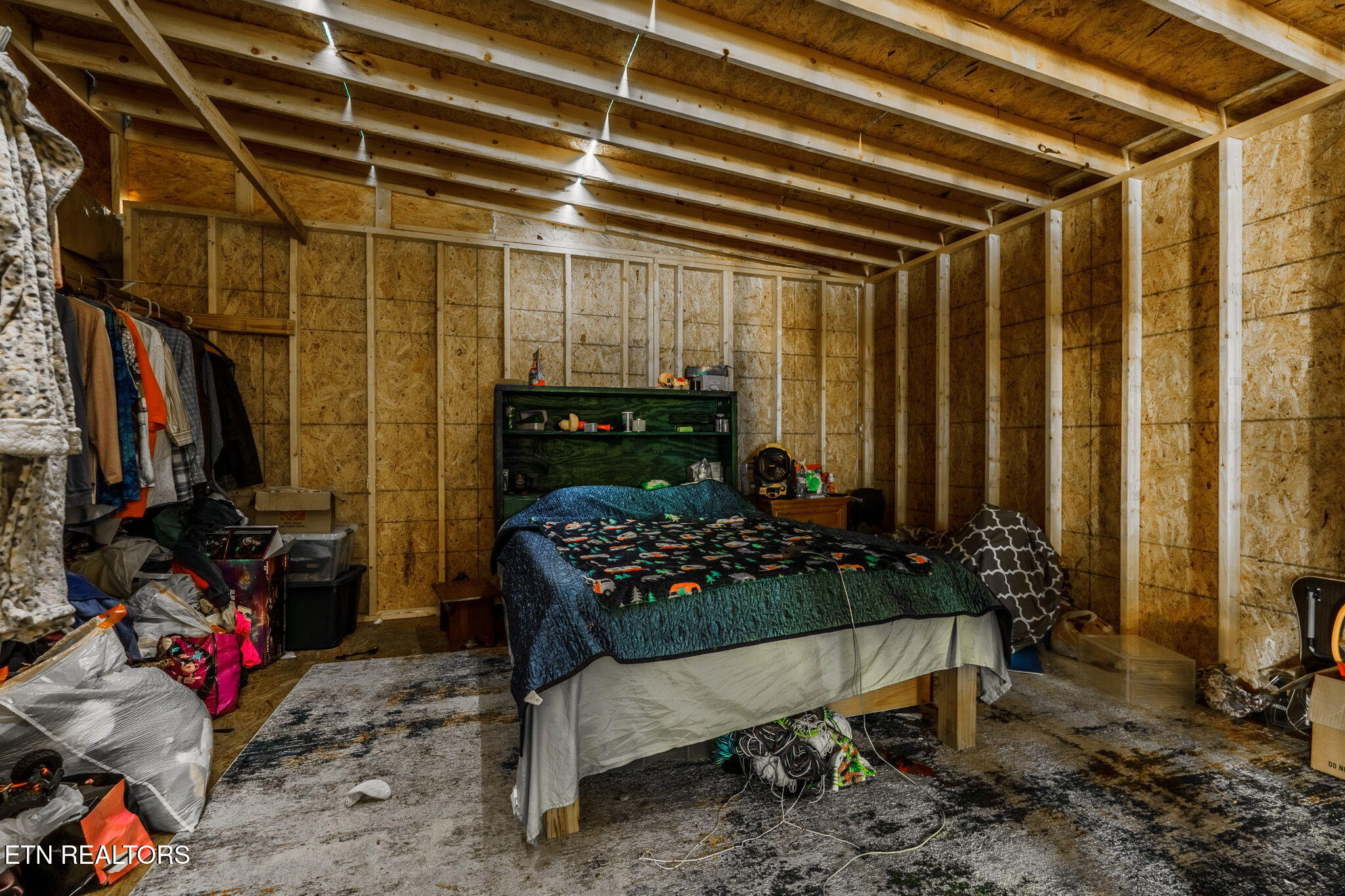 1360 Illuminary Firetower Road, Unit 9 Spring City, TN 37381 - Photo 9 of 30 23-web-or-mls-_DSC2098-HDR